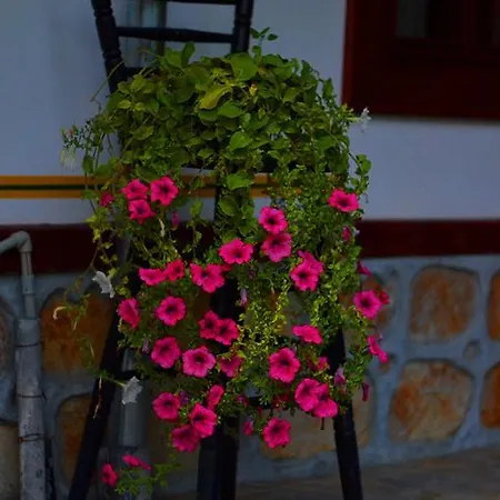 Kalimaritsa Vetren (Silistra)